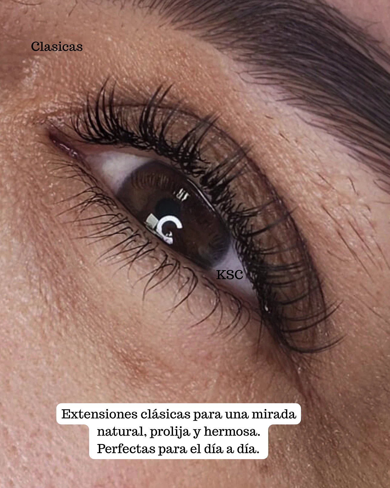 Image eyelash extensions in Miami