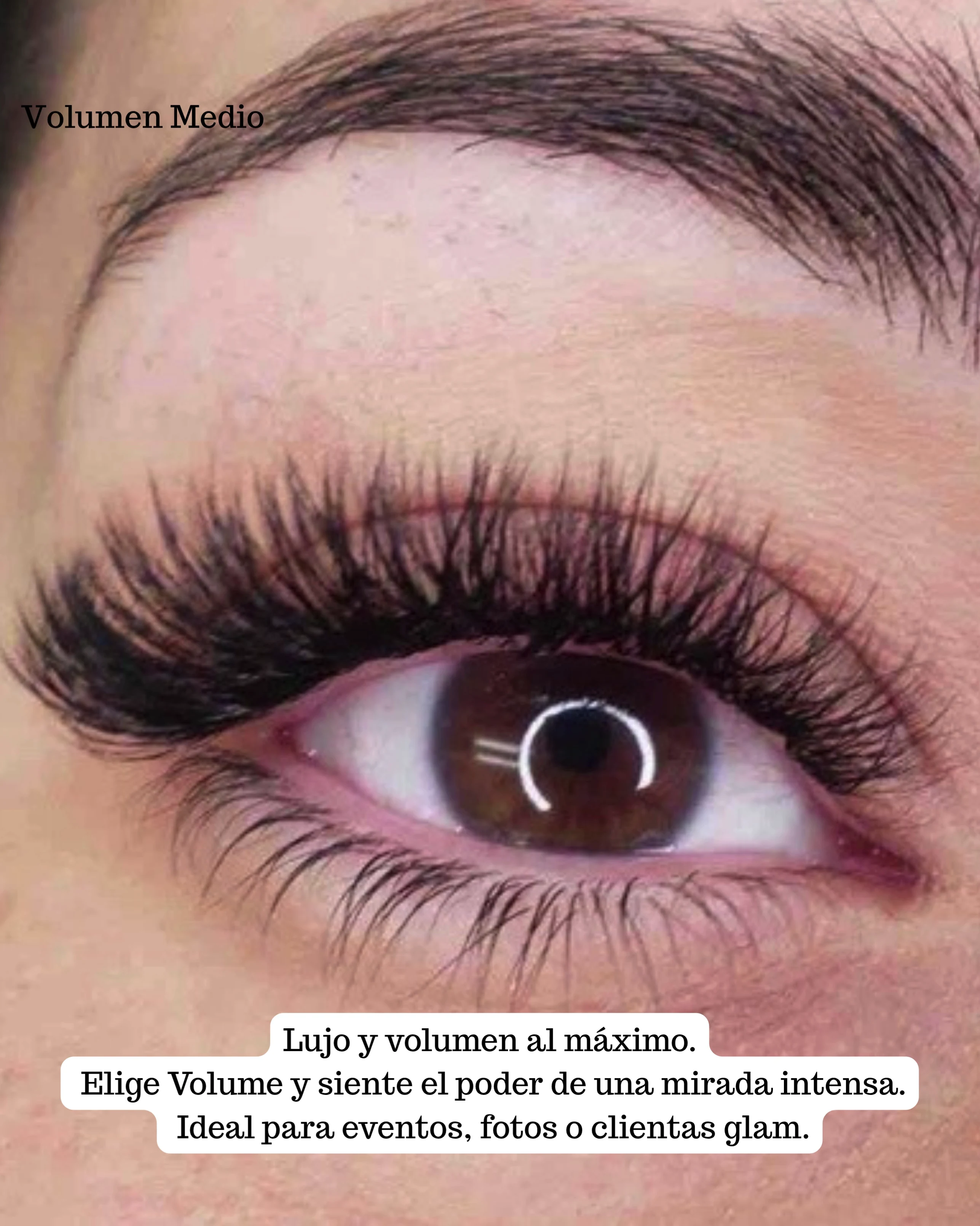 Image eyelash extensions in Miami