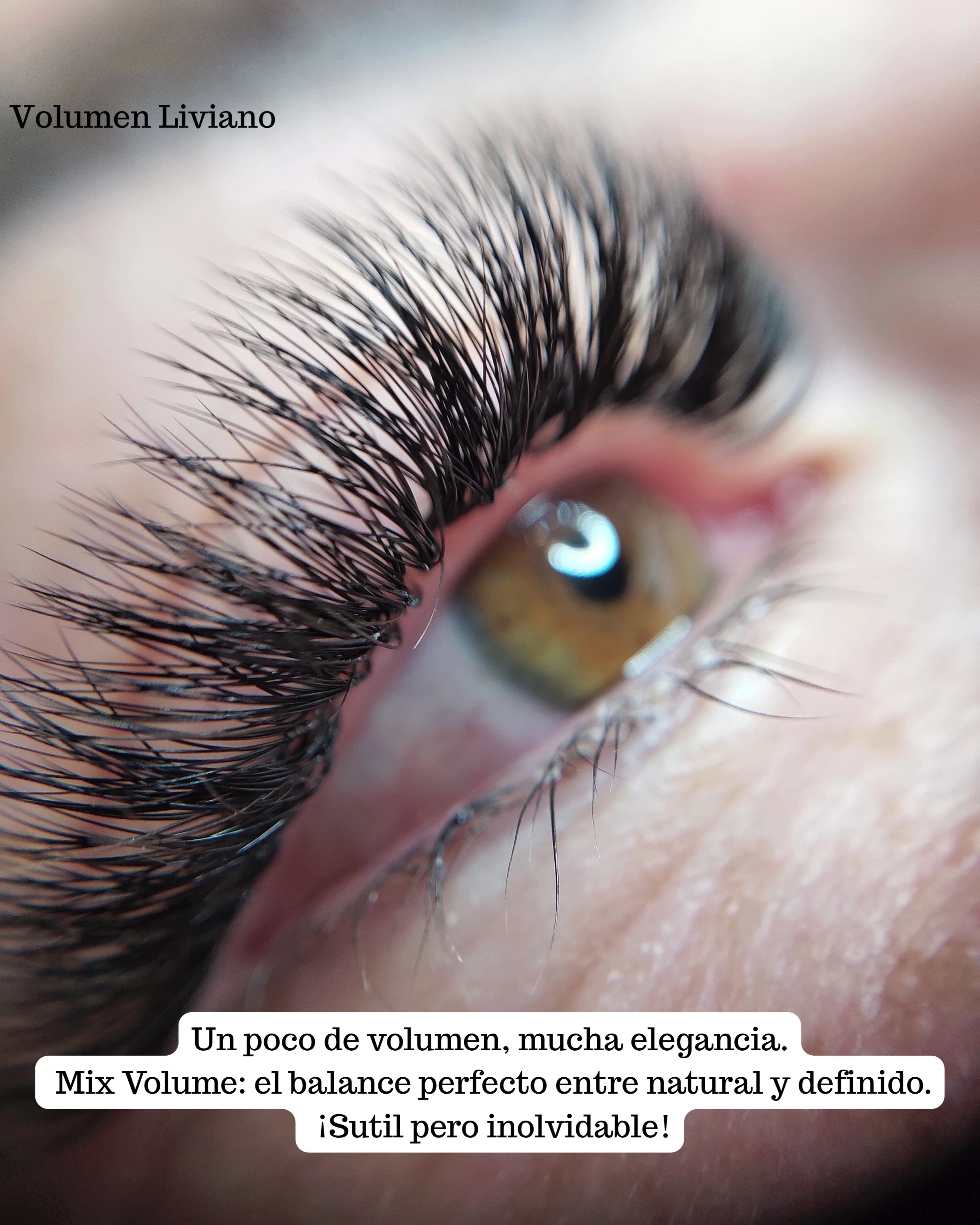 Image eyelash extensions in Miami